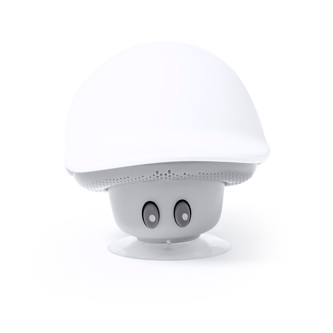 20855-001-P Altavoz Heston - Imagen 1