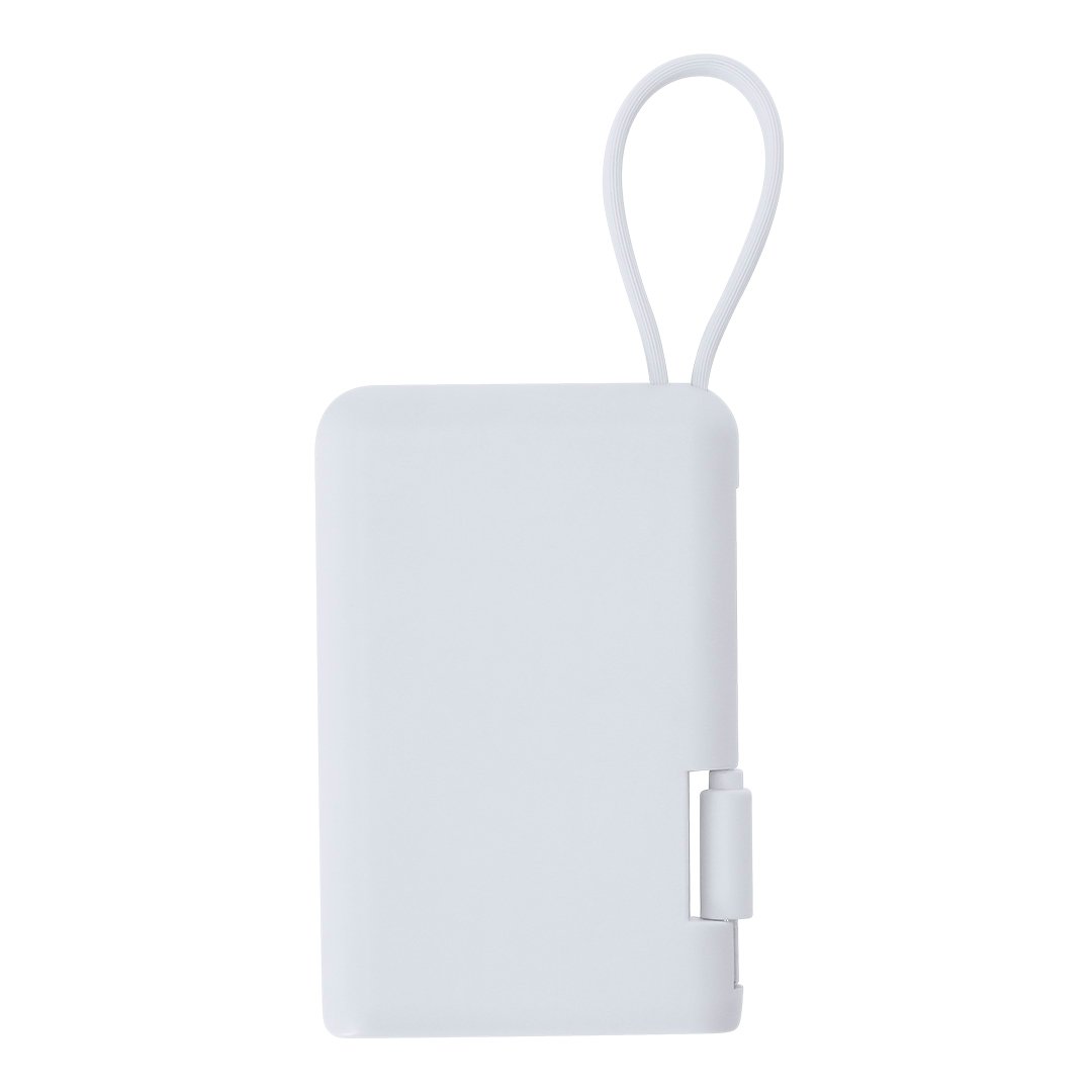 21977-001-P Power Bank Brandin - Imagen 1