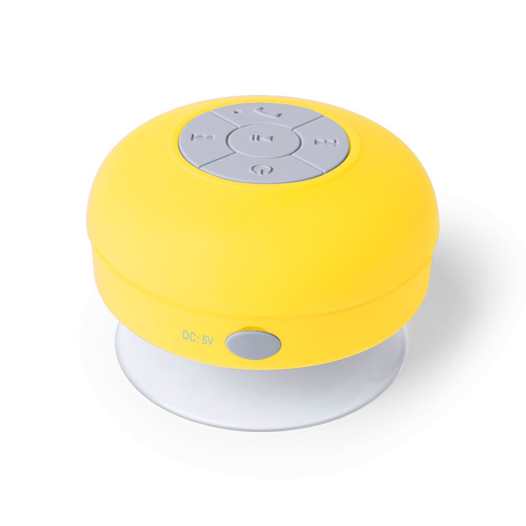 4929-005-P Altavoz Rariax - Imagen 1