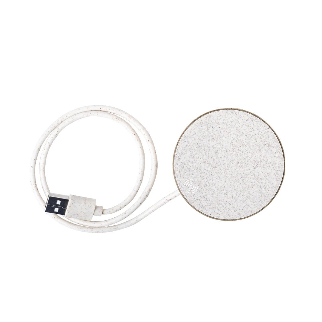 6929-000-P Cargador Brotox - Imagen 1
